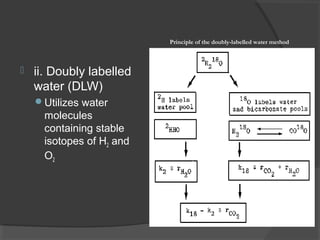 ii. Doubly labelled
water (DLW)
Utilizes water
molecules
containing stable
isotopes of H2 and
O2
Principle of the doubly-labelled water method
 