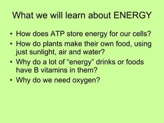 What we will learn about ENERGY ,[object Object],[object Object],[object Object],[object Object]