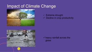 Impact of Climate Change
 Extreme drought
 Decline in crop productivity
 heavy rainfall across the
globe
 