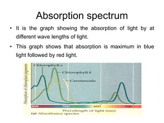 ENERGY CONSERVATION IN PLANTS TO PERFORM THEIR LIFE PROCESS.ppt
