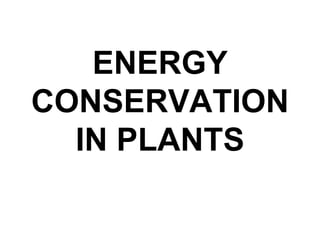 ENERGY
CONSERVATION
IN PLANTS
 