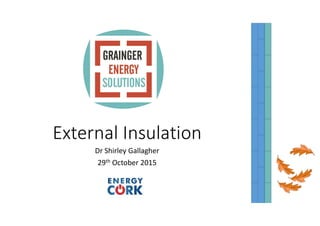 External Insulation
Dr Shirley Gallagher
29th October 2015
 