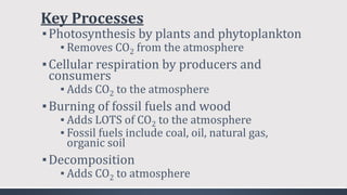 Key Processes
▪Photosynthesis by plants and phytoplankton
▪ Removes CO2 from the atmosphere
▪Cellular respiration by producers and
consumers
▪ Adds CO2 to the atmosphere
▪Burning of fossil fuels and wood
▪ Adds LOTS of CO2 to the atmosphere
▪ Fossil fuels include coal, oil, natural gas,
organic soil
▪Decomposition
▪ Adds CO2 to atmosphere
 