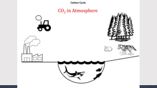CO2 in Atmosphere
 