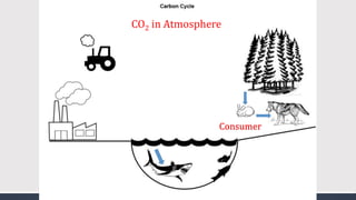 CO2 in Atmosphere
Consumer
 