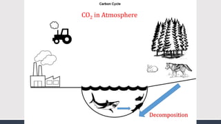 CO2 in Atmosphere
Decomposition
 