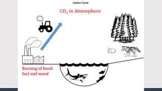 CO2 in Atmosphere
Burning of fossil
fuel and wood
 