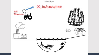 CO2 in Atmosphere
Soil
Movement
 