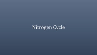 Nitrogen Cycle
 