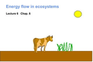 Energy flow in ecosystems
Lecture 6 Chap. 6




                            1
 