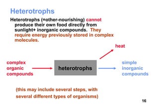 Heterotrophs
 Heterotrophs (=other-nourishing) cannot
  produce their own food directly from
  sunlight+ inorganic compounds. They
  require energy previously stored in complex
  molecules.
                                                heat


complex                                           simple
organic               heterotrophs                inorganic
compounds                                         compounds


   (this may include several steps, with
   several different types of organisms)
                                                        16
 