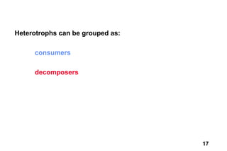 Heterotrophs can be grouped as:

     consumers

     decomposers




                                  17
 