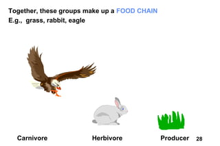 Together, these groups make up a FOOD CHAIN
E.g., grass, rabbit, eagle




  Carnivore             Herbivore             Producer   28
 