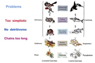Problems



Too simplistic

No detritivores

Chains too long




                  31
 