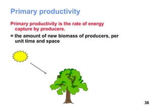 Primary productivity
Primary productivity is the rate of energy
  capture by producers.
= the amount of new biomass of producers, per
  unit time and space




                                                36
 