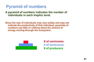 Pyramid of numbers
A pyramid of numbers indicates the number of
  individuals in each trophic level.

Since the size of individuals may vary widely and may not
  indicate the productivity of that individual, pyramids of
  numbers say little or nothing about the amount of
  energy moving through the ecosystem.



                                   # of carnivores
                                   # of herbivores
                                   # of producers


                                                              41
 