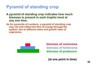 Pyramid of standing crop
A pyramid of standing crop indicates how much
  biomass is present in each trophic level at
  any one time.
As for pyramids of numbers, a pyramid of standing crop
  may not well reflect the flow of energy through the
  system, due to different sizes and growth rates of
  organisms.




                                 biomass of carnivores
                                 biomass of herbivores
                                 biomass of producers

                                  (at one point in time)
                                                           42
 
