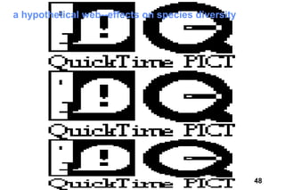 a hypothetical web--effects on species diversity




                                                   48
 