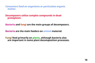18
Consumers feed on organisms or particulate organic
matter.
Decomposers utilize complex compounds in dead
protoplasm.
Bacteria and fungi are the main groups of decomposers.
Bacteria are the main feeders on animal material.
Fungi feed primarily on plants, although bacteria also
are important in some plant decomposition processes.
 