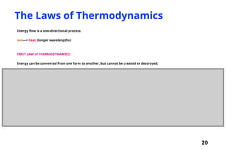 20
The Laws of Thermodynamics
Energy flow is a one-directional process.
sun---> heat (longer wavelengths)
FIRST LAW of THERMODYNAMICS:
Energy can be converted from one form to another, but cannot be created or destroyed.
 