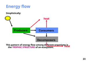 23
Energy flow
Simplistically:
This pattern of energy flow among different organisms is
the TROPHIC STRUCTURE of an ecosystem. heat
Producers Consumers
Decomposers
heat
 