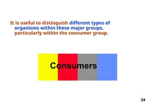 24
It is useful to distinguish different types of
organisms within these major groups,
particularly within the consumer group.
Consumers
 