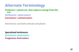 27
Alternate Terminology
Producers = plants etc. that capture energy from the
sun
Herbivores = plant-eaters
Carnivores = animal-eaters
Omnivores--eat both animals and plants
Specialized herbivores:
Granivores--seed-eaters
Frugivores--fruit-eaters
 