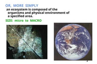 3
OR, MORE SIMPLY
an ecosystem is composed of the
organisms and physical environment of
a specified area.
SIZE: micro to MACRO
 