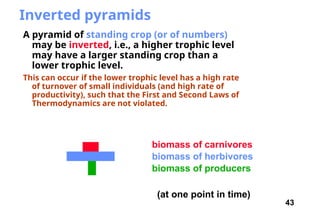 43
Inverted pyramids
A pyramid of standing crop (or of numbers)
may be inverted, i.e., a higher trophic level
may have a larger standing crop than a
lower trophic level.
This can occur if the lower trophic level has a high rate
of turnover of small individuals (and high rate of
productivity), such that the First and Second Laws of
Thermodynamics are not violated.
biomass of producers
biomass of herbivores
biomass of carnivores
(at one point in time)
 