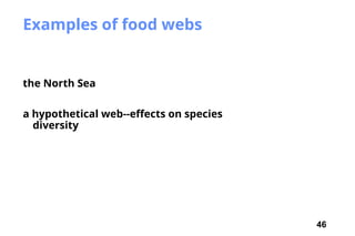 46
Examples of food webs
the North Sea
a hypothetical web--effects on species
diversity
 