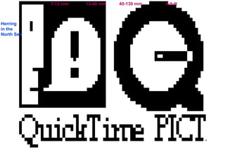 47
7-12 mm 13-40 mm 40-130 mm Adult
Herring
in the
North Sea
 