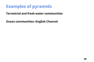 49
Examples of pyramids
Terrestrial and fresh-water communities
Ocean communities--English Channel
 