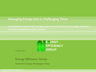 a report from




                  Energy Efficiency Group
                  Tomorrow’s Energy Technologies Today


www.energyefficiencygroup.net
 