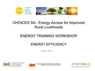 March 2013
CHOICES SA - Energy Access for Improved
Rural Livelihoods
ENERGY TRAINING WORKSHOP
ENERGY EFFICIENCY
 