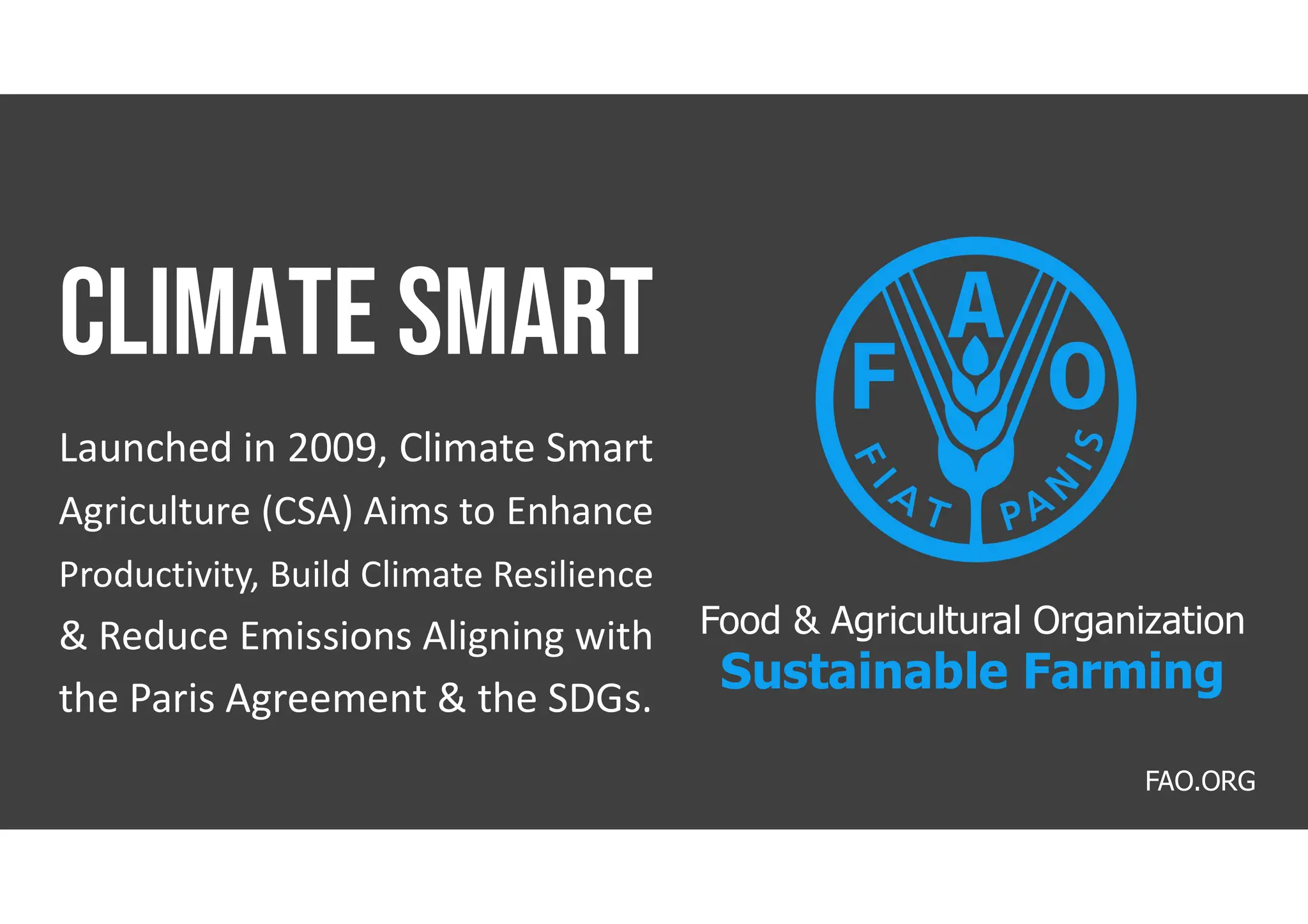 Launched in 2009, Climate Smart
Agriculture (CSA) Aims to Enhance
Productivity, Build Climate Resilience
& Reduce Emissions Aligning with
the Paris Agreement & the SDGs.
FAO.ORG
Food & Agricultural Organization
Sustainable Farming
 