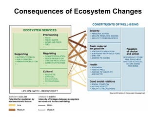 Consequences of Ecosystem Changes 