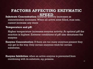 Energy &amp; enzymes