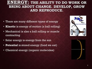 Energy &amp; enzymes