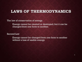 Energy &amp; enzymes