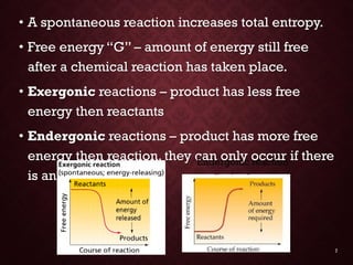 Energy &amp; enzymes