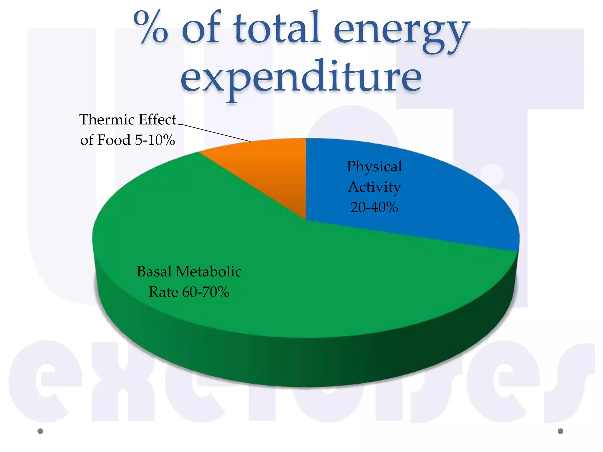 Energy expenditure PPT