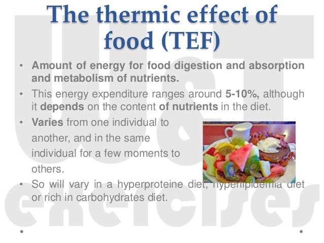 Thermic Effect Of Food Kcal Diet Thermic Effect Of Food Kcal Diet