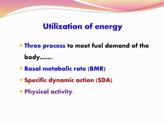  Three process to meet fuel demand of the
body…….
 Basal metabolic rate (BMR)
 Specific dynamic action (SDA)
 Physical activity.
 