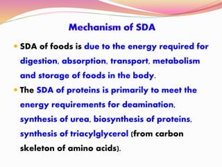 SDA of foods is due to the energy required for
digestion, absorption, transport, metabolism
and storage of foods in the body.
 The SDA of proteins is primarily to meet the
energy requirements for deamination,
synthesis of urea, biosynthesis of proteins,
synthesis of triacylglycerol (from carbon
skeleton of amino acids).
 
