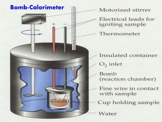 Bomb-Calorimeter
 