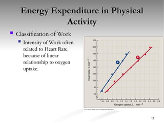 Energy Expenditure in Physical
Energy Expenditure in Physical
Activity
Activity
 Classification of Work
Classification of Work
 Intensity of Work often
Intensity of Work often
related to Heart Rate
related to Heart Rate
because of linear
because of linear
relationship to oxygen
relationship to oxygen
uptake.
uptake.
12
 