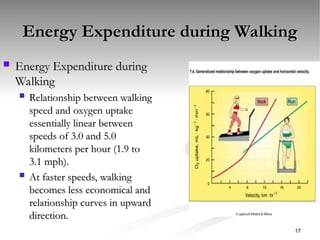 Energy Expenditure during Walking
Energy Expenditure during Walking
 Energy Expenditure during
Energy Expenditure during
Walking
Walking
 Relationship between walking
Relationship between walking
speed and oxygen uptake
speed and oxygen uptake
essentially linear between
essentially linear between
speeds of 3.0 and 5.0
speeds of 3.0 and 5.0
kilometers per hour (1.9 to
kilometers per hour (1.9 to
3.1 mph).
3.1 mph).
 At faster speeds, walking
At faster speeds, walking
becomes less economical and
becomes less economical and
relationship curves in upward
relationship curves in upward
direction.
direction.
17
 