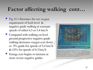Factor affecting walking cont…
Factor affecting walking cont…
 Fig 10.3 illustrates the net oxygen
Fig 10.3 illustrates the net oxygen
requirement of both level &
requirement of both level &
negative grade walking at constant
negative grade walking at constant
speeds of either 6.3 or 5.4 km/h
speeds of either 6.3 or 5.4 km/h
 Compared with walking on level
Compared with walking on level
ground progressive negative grade
ground progressive negative grade
walking decreases oxygen cost down
walking decreases oxygen cost down
to -9% grade for speeds of 5.4 km/h
to -9% grade for speeds of 5.4 km/h
&-12% for speeds of 6.3 km/h
&-12% for speeds of 6.3 km/h
 Energy cost begins to increase at
Energy cost begins to increase at
more severe negative grades
more severe negative grades
23
 