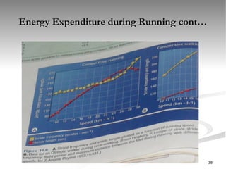 Energy Expenditure during Running cont…
Energy Expenditure during Running cont…
38
 