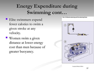 Energy Expenditure during
Energy Expenditure during
Swimming cont…
Swimming cont…
 Elite swimmers expend
Elite swimmers expend
fewer calories to swim a
fewer calories to swim a
given stroke at any
given stroke at any
velocity.
velocity.
 Women swim a given
Women swim a given
distance at lower energy
distance at lower energy
cost than men because of
cost than men because of
greater buoyancy.
greater buoyancy.
57
 